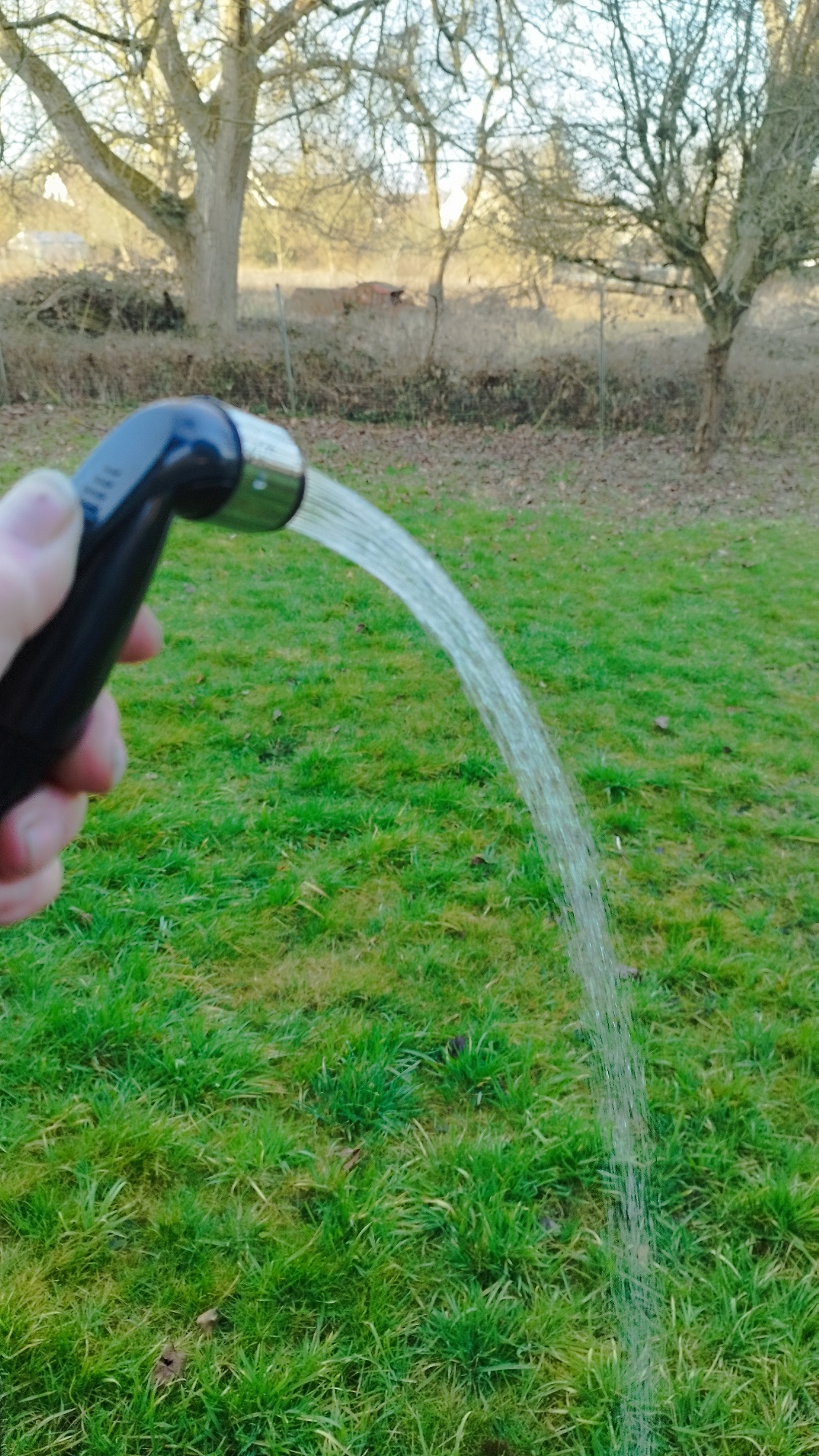 Der Wasserstrahl