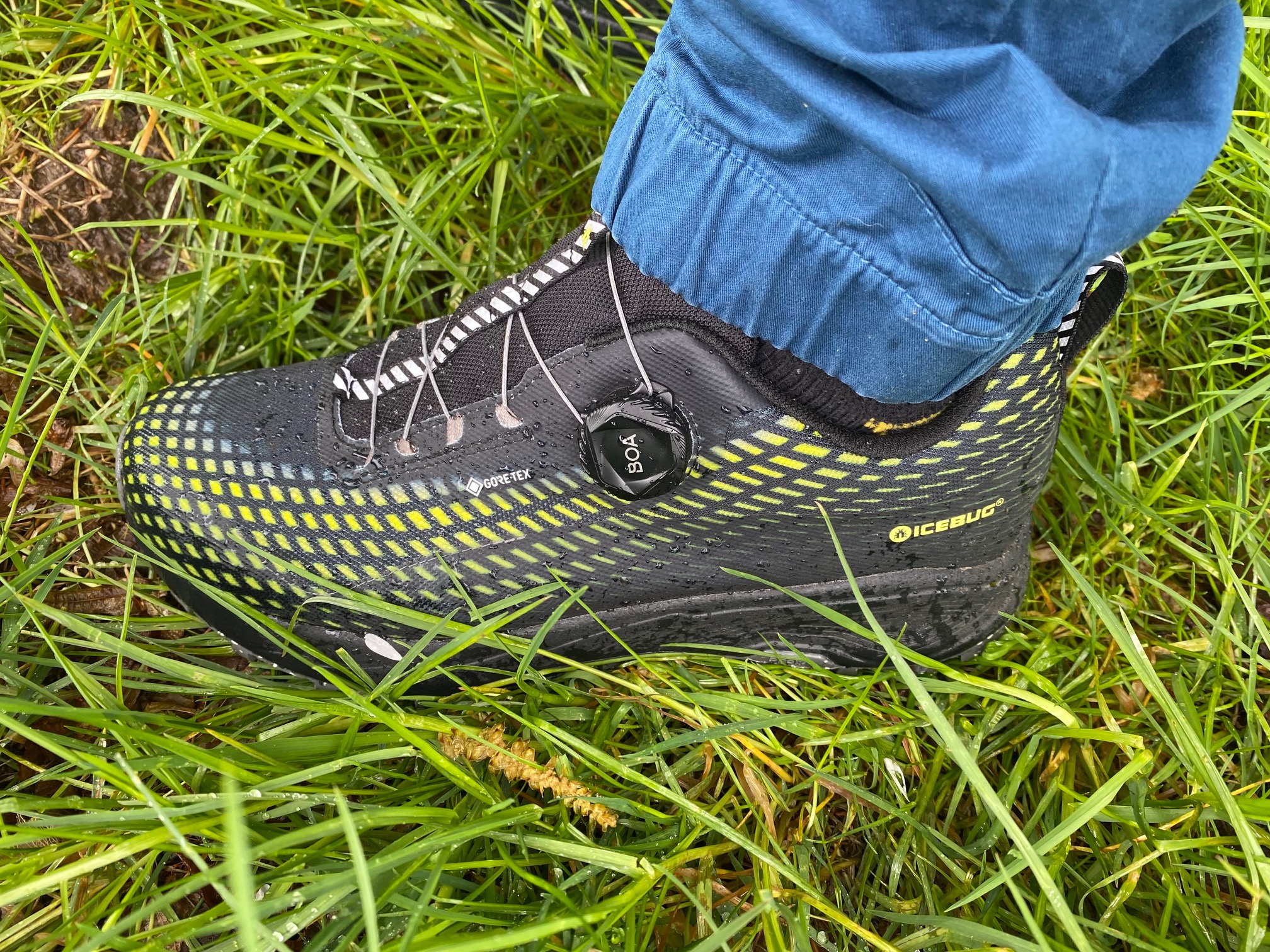 schuh