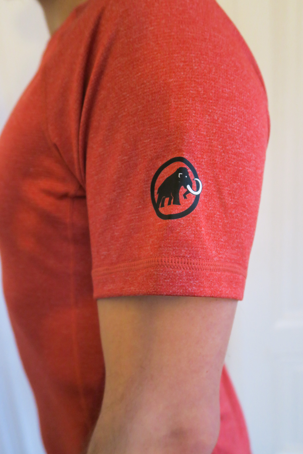 Logo Arm