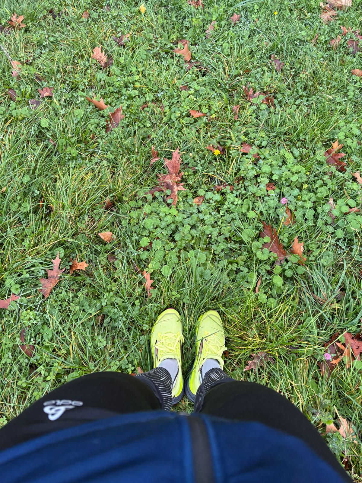 Schuh im Test