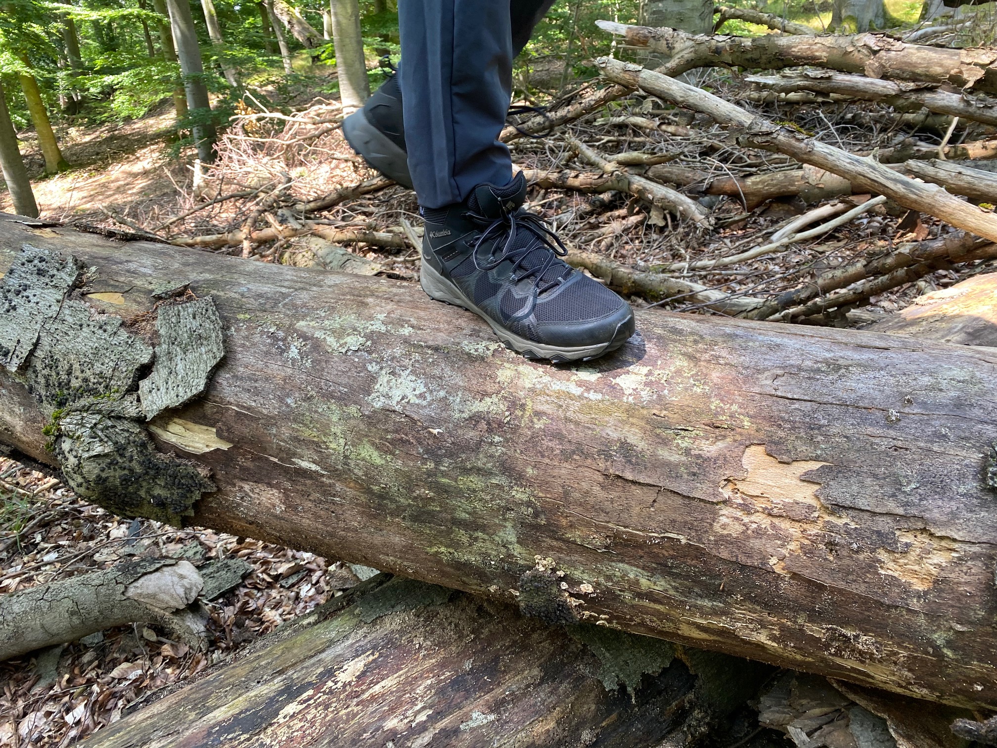 Schuhe auf einem Baumstamm