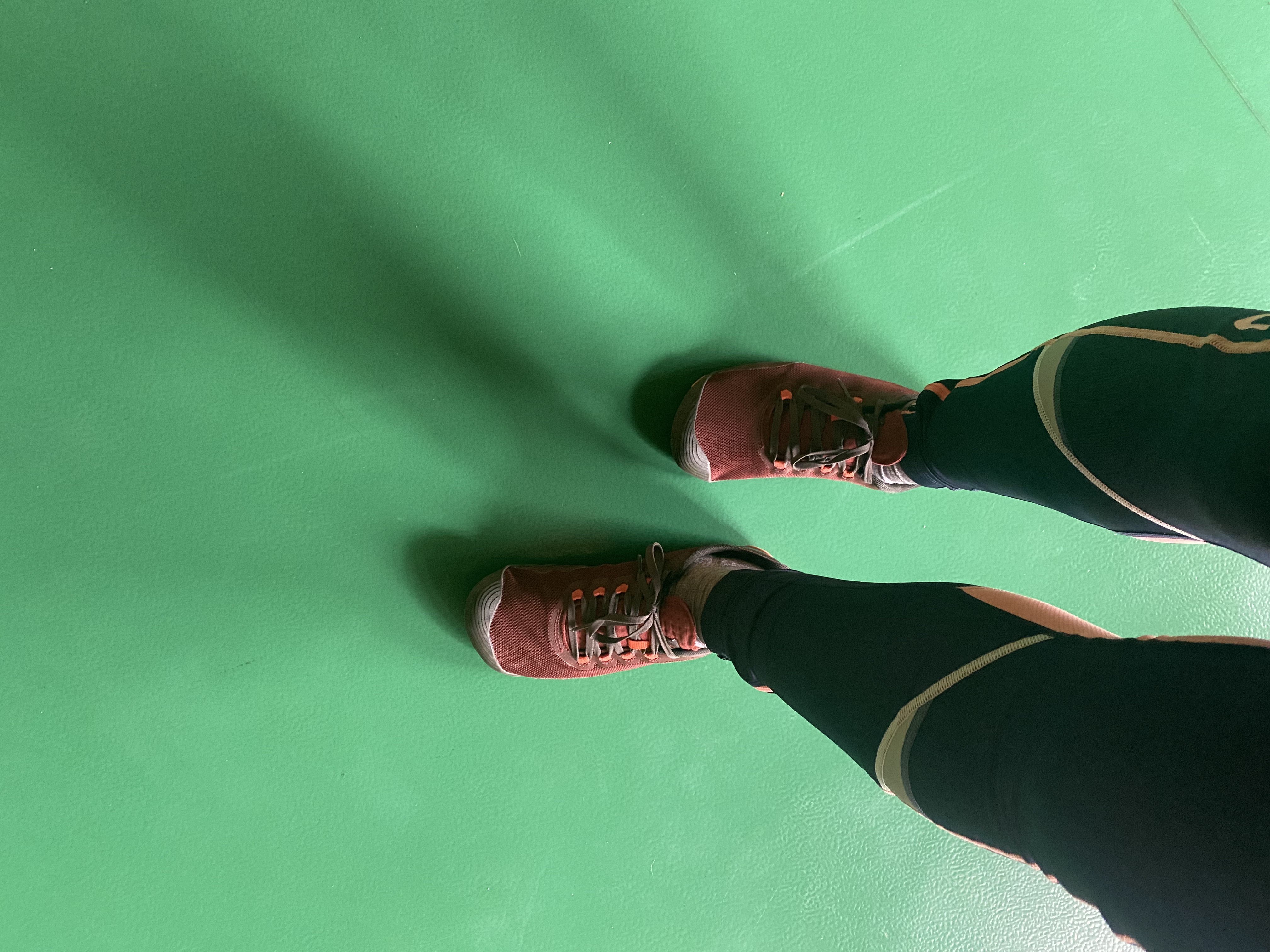 beide Schuhe