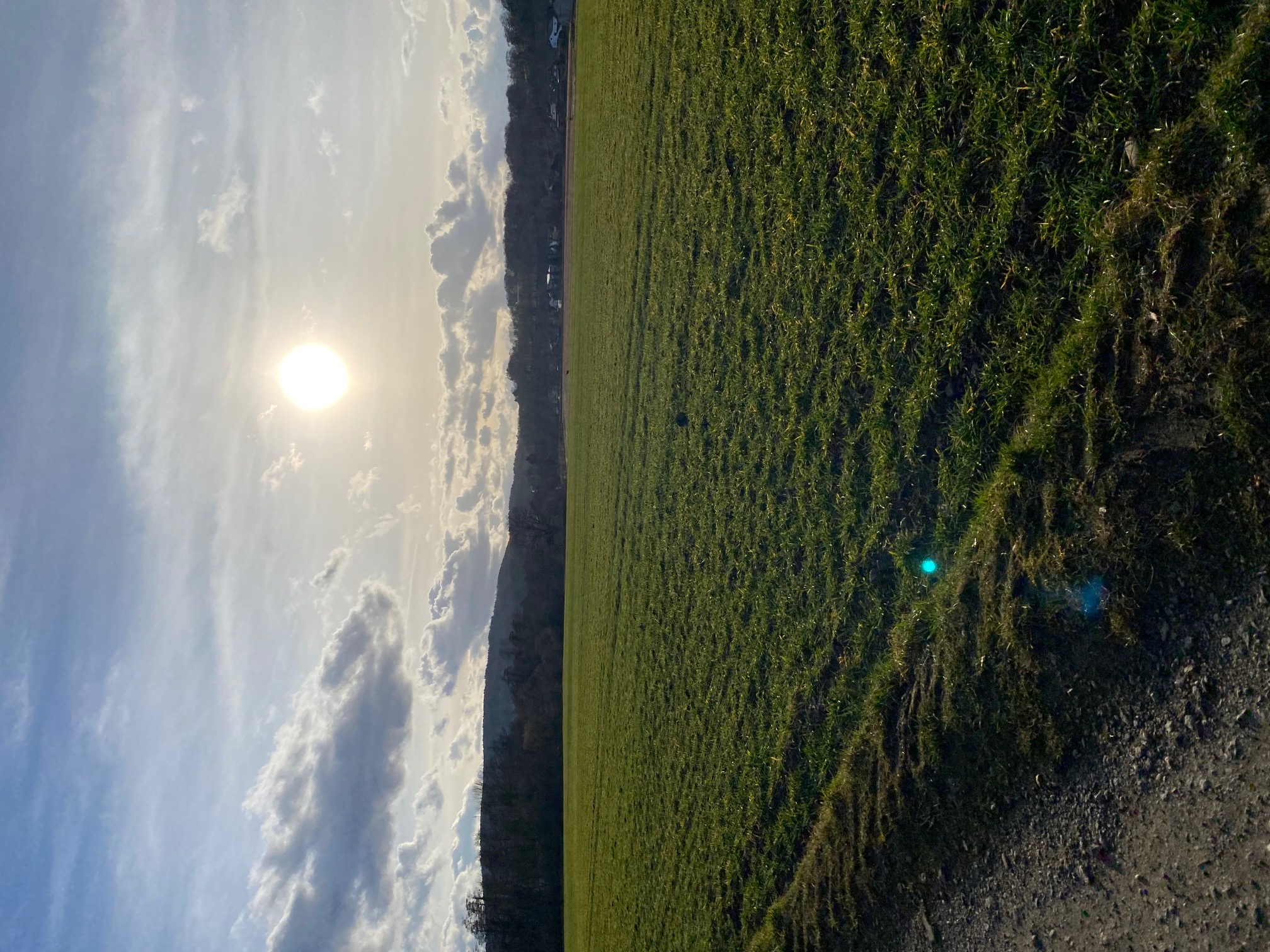 Naturaufnahme