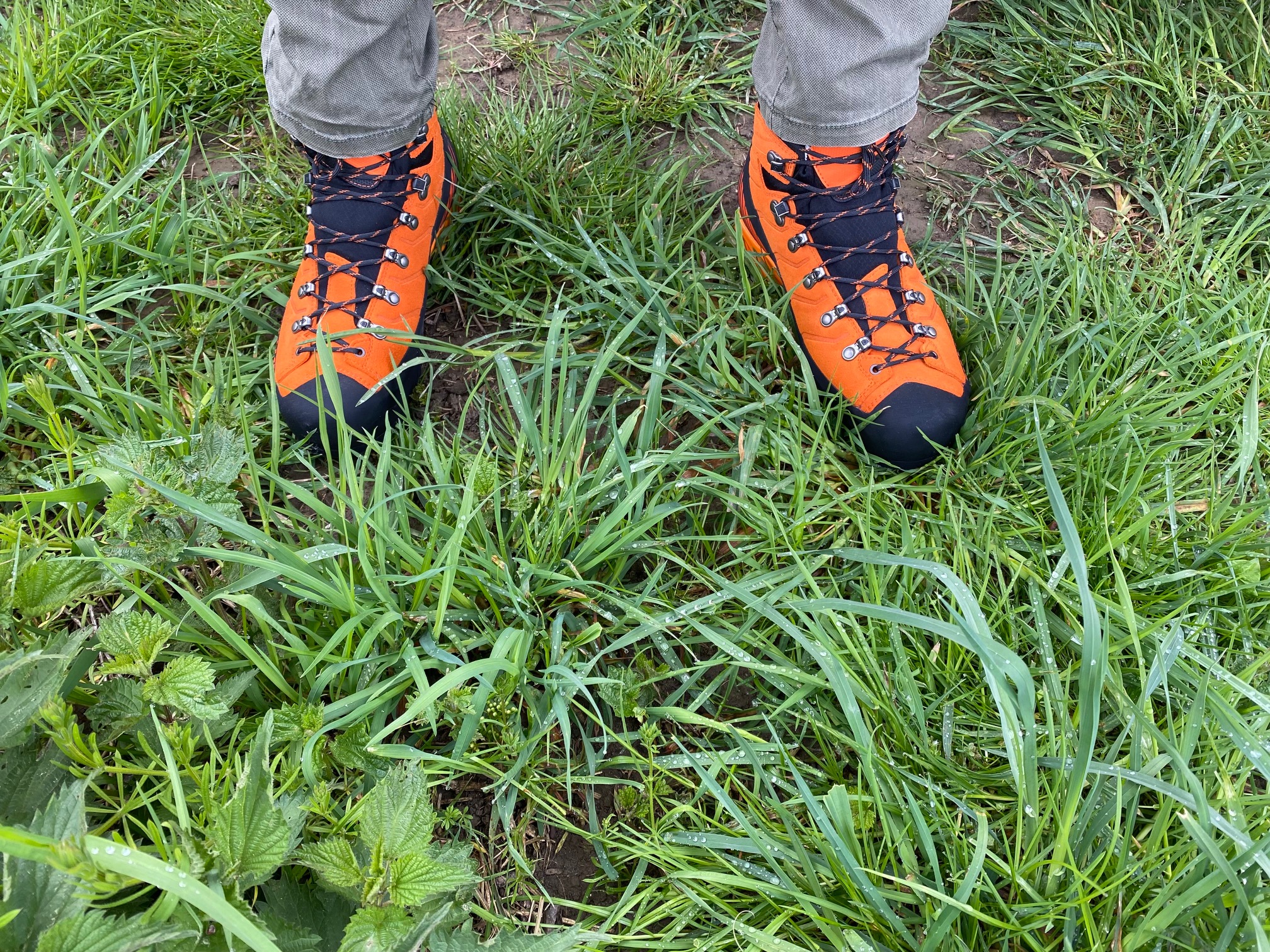 Gras