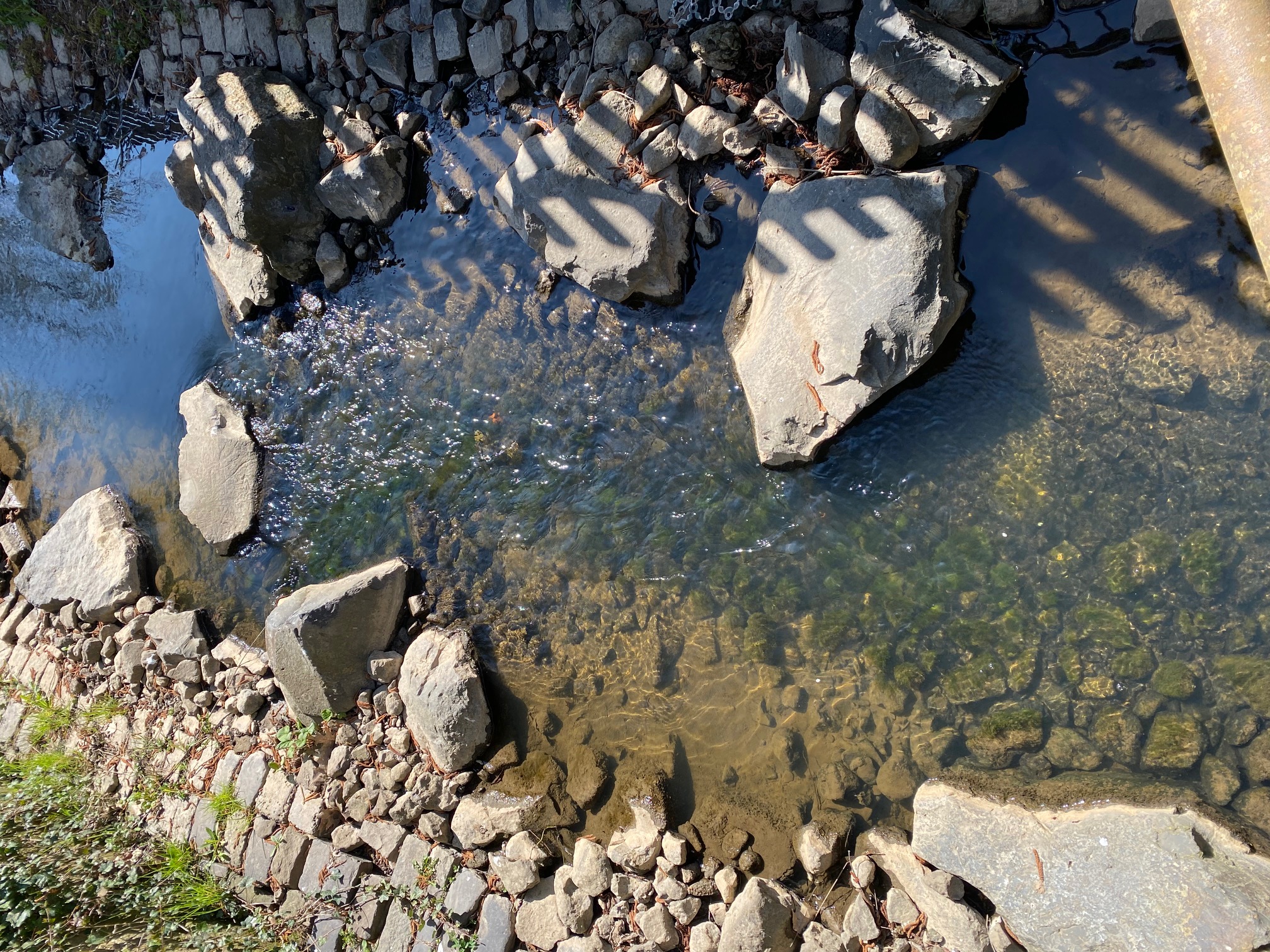 Wasser ohne Brille