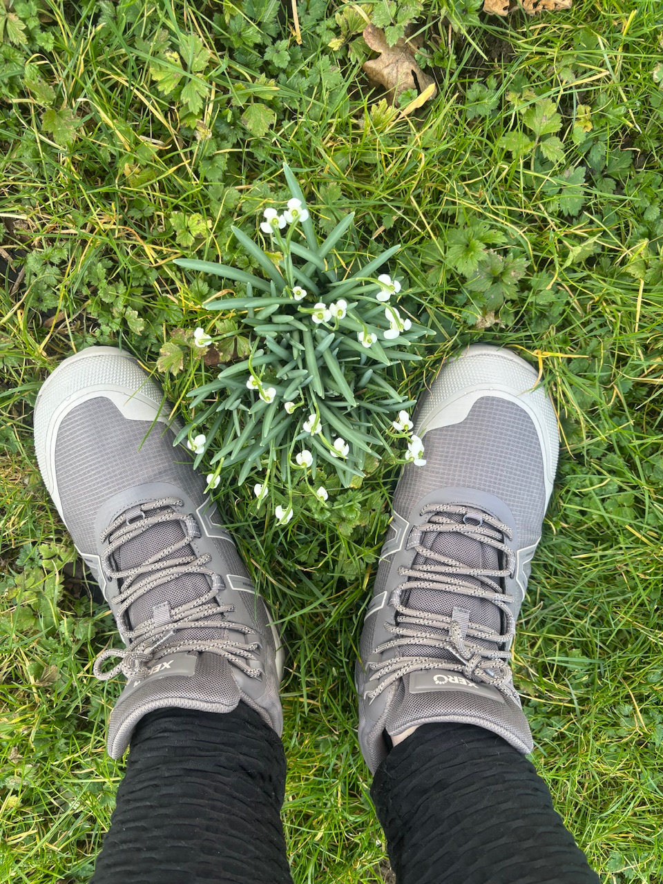 Schuhe von oben
