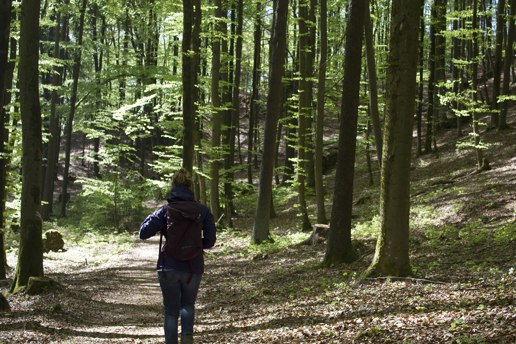 Wandern