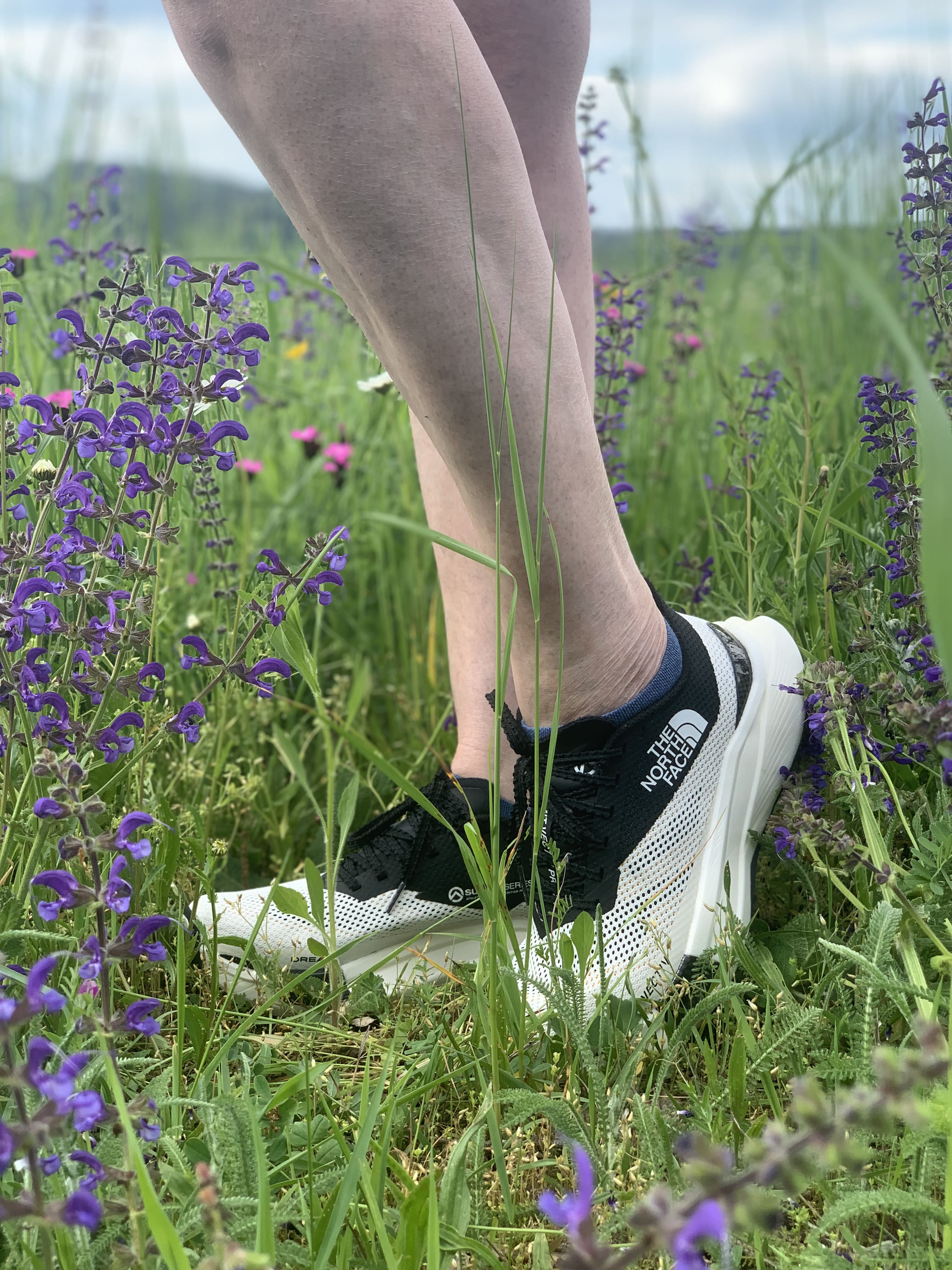 TNF Summit