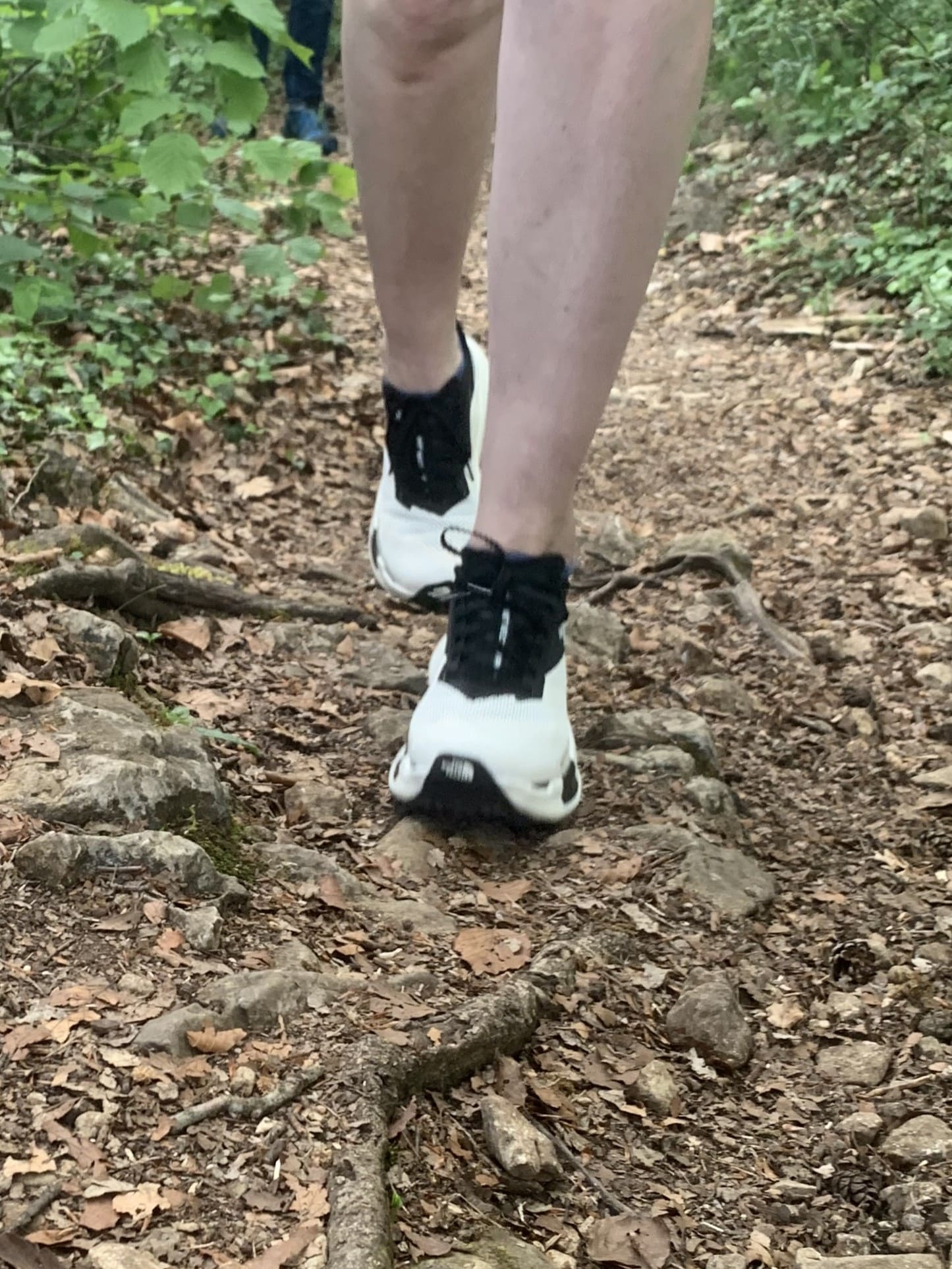 TNF Summit
