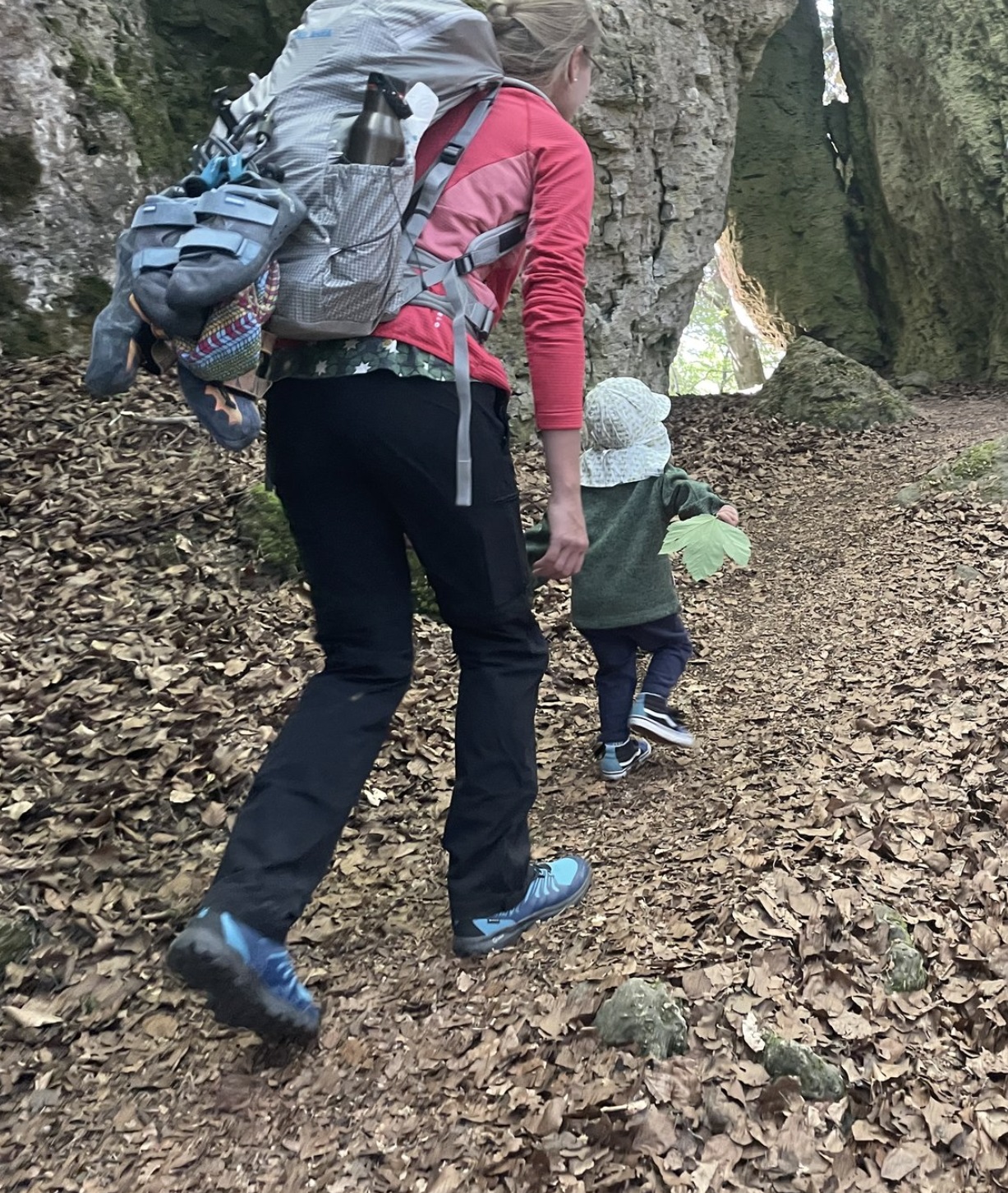 Zustieg zum Kletterfelsen