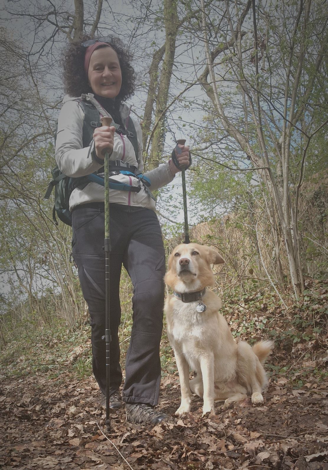 Wandern mit Hund