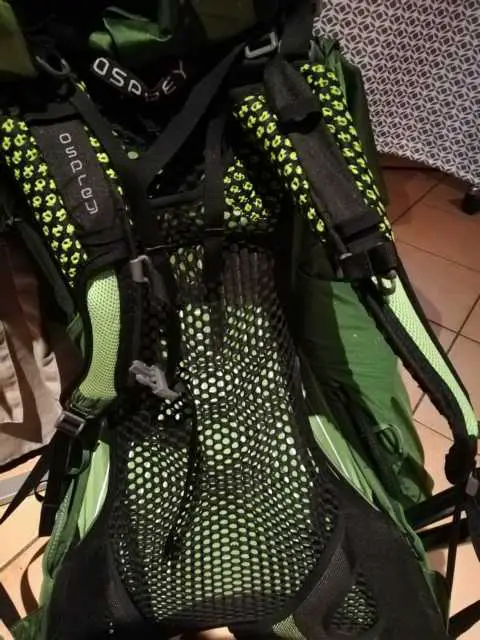 Das Tragesystem