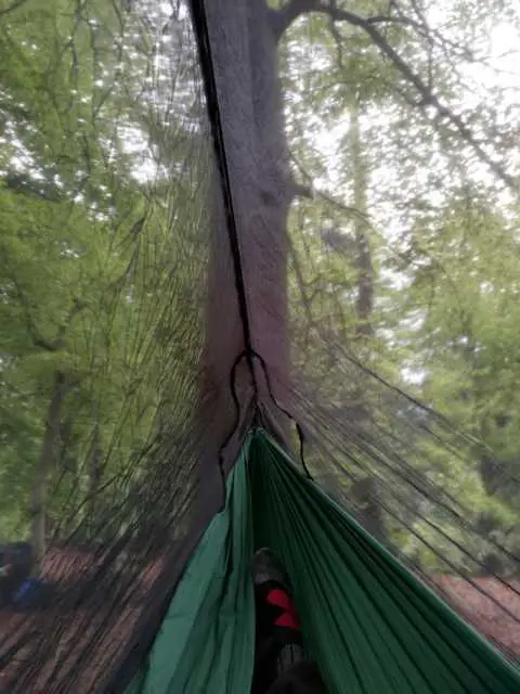 Von innen nach außen schauen