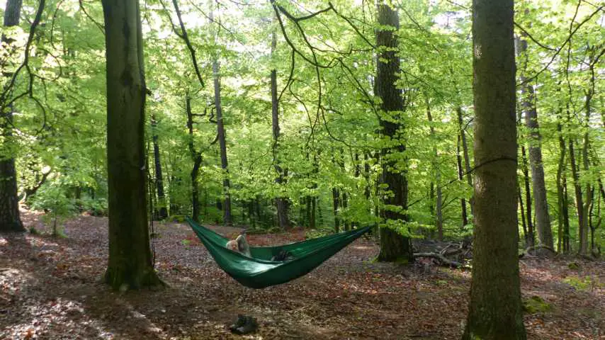 Ticket to the Moon Hammock