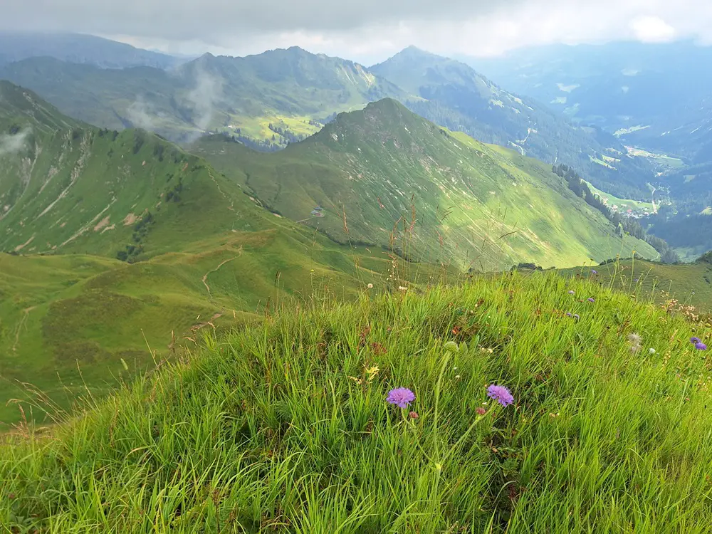 Berge