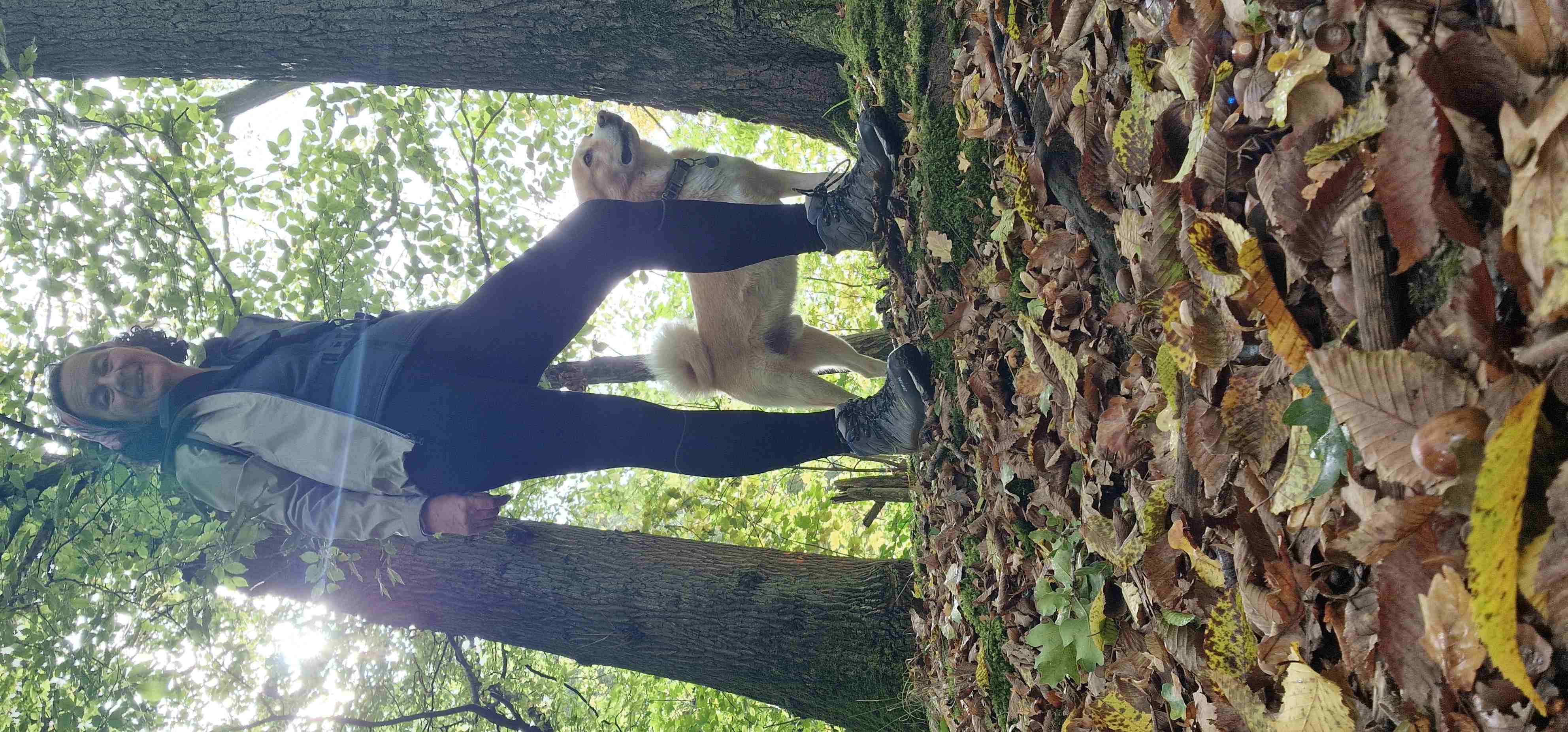 Unterwegs mit dem Hund