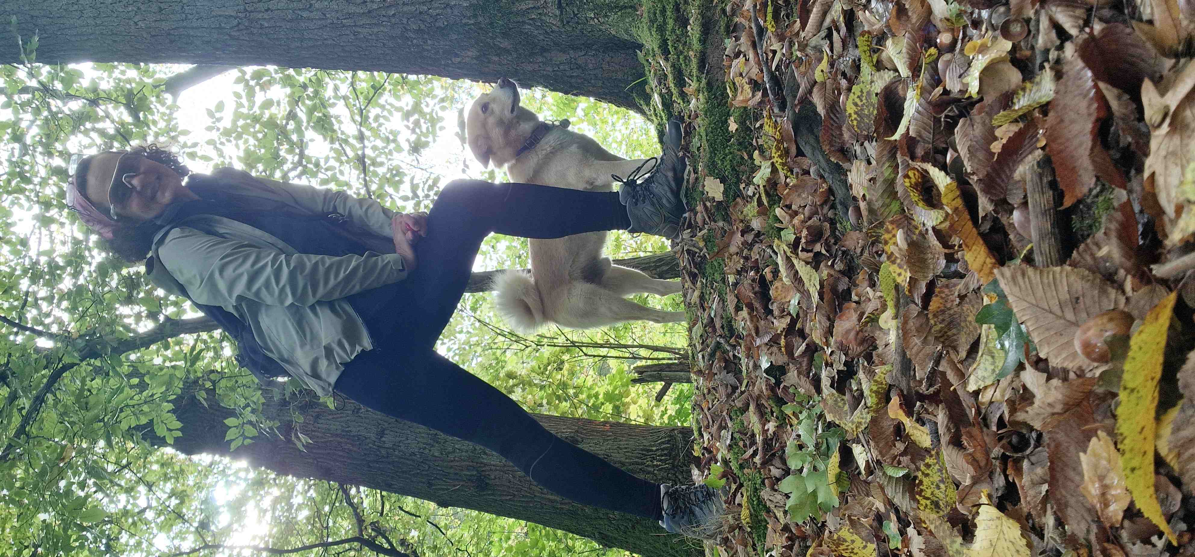 Unterwegs mit Hund