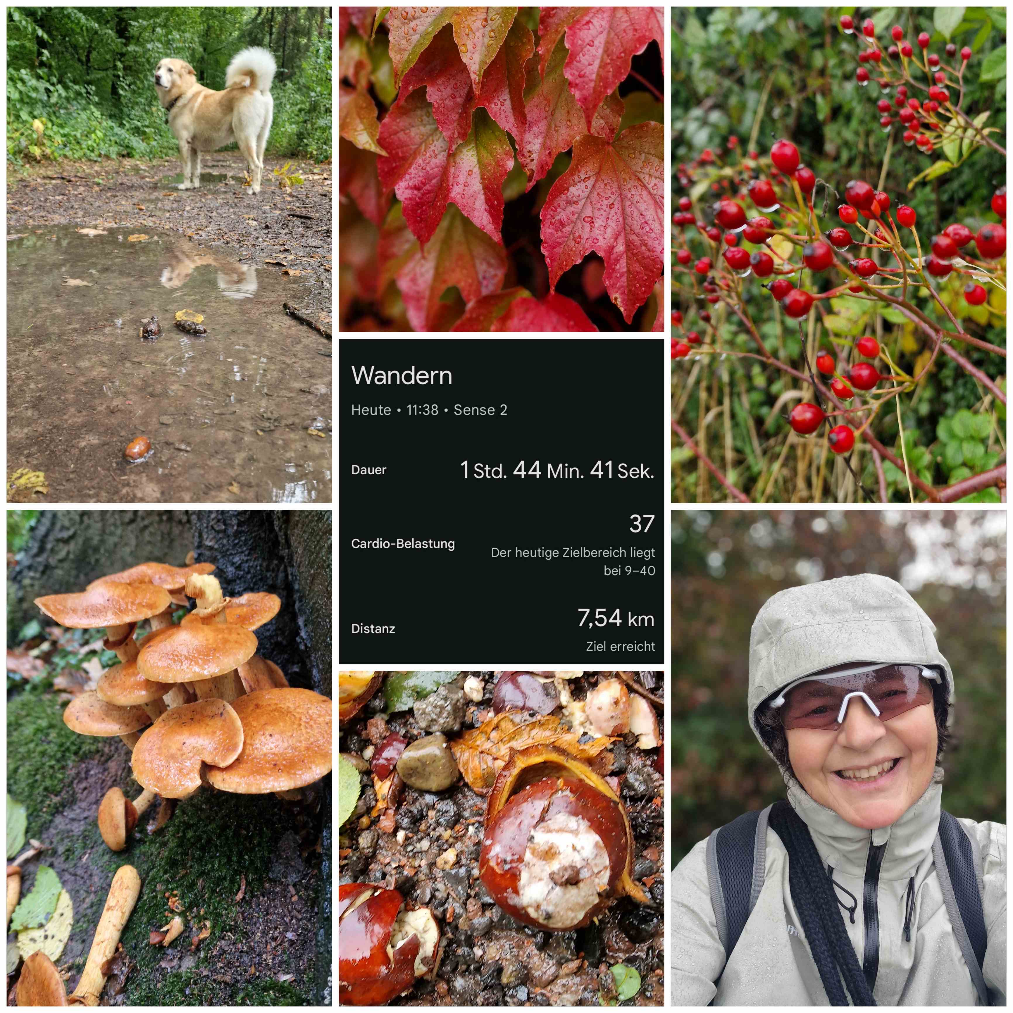 Viele Kilometer unterwegs mit dem Hund und dem perfekten Regenschutz!