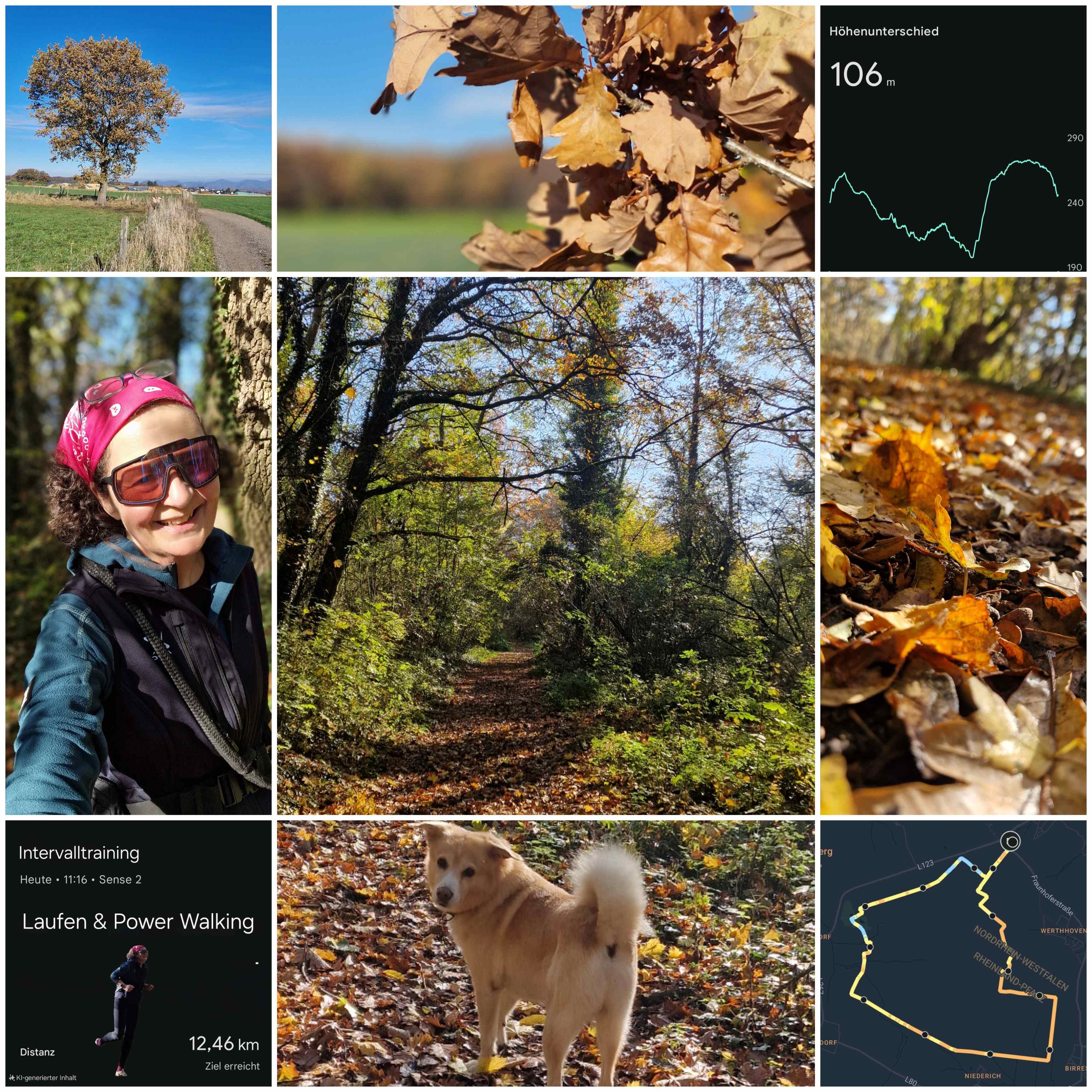 Trail- und Road Running, Walking, Wandern oder einfach die Runde mit dem Hund, Die Running Tights macht jede Sportart mit
