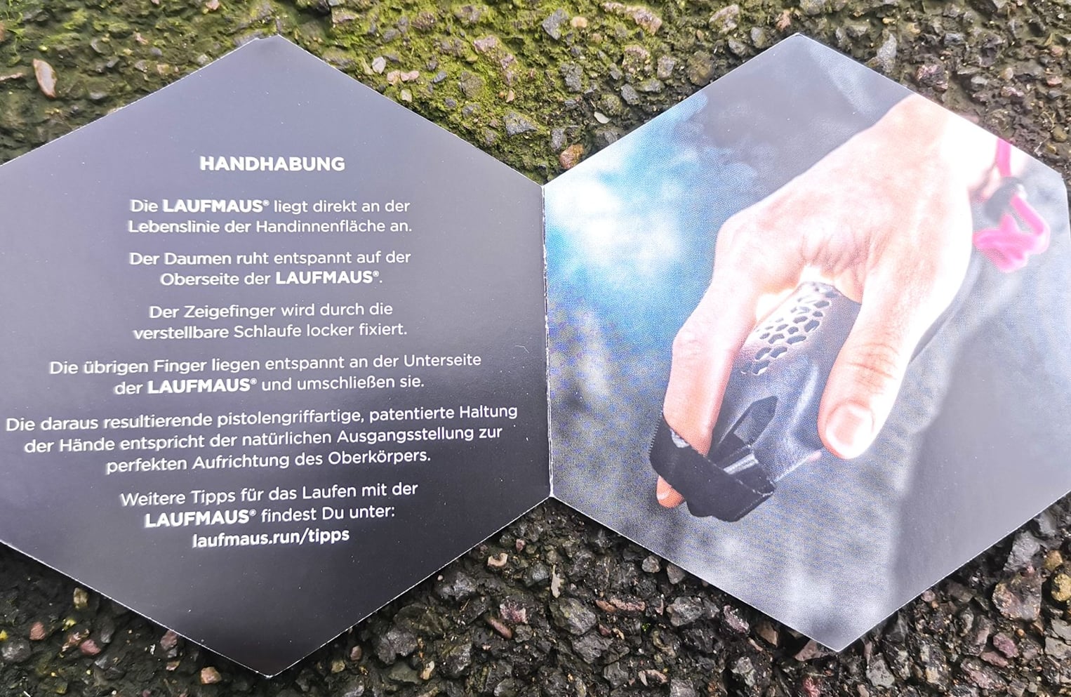 laufmaus_6