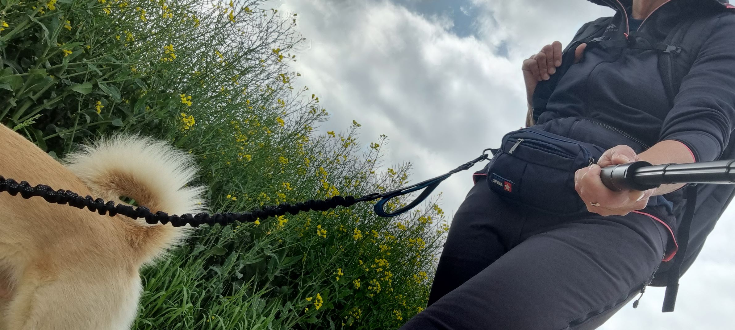 Beim Wandern mit Hund ist es von Vorteil, wenn man beide Hände frei hat.