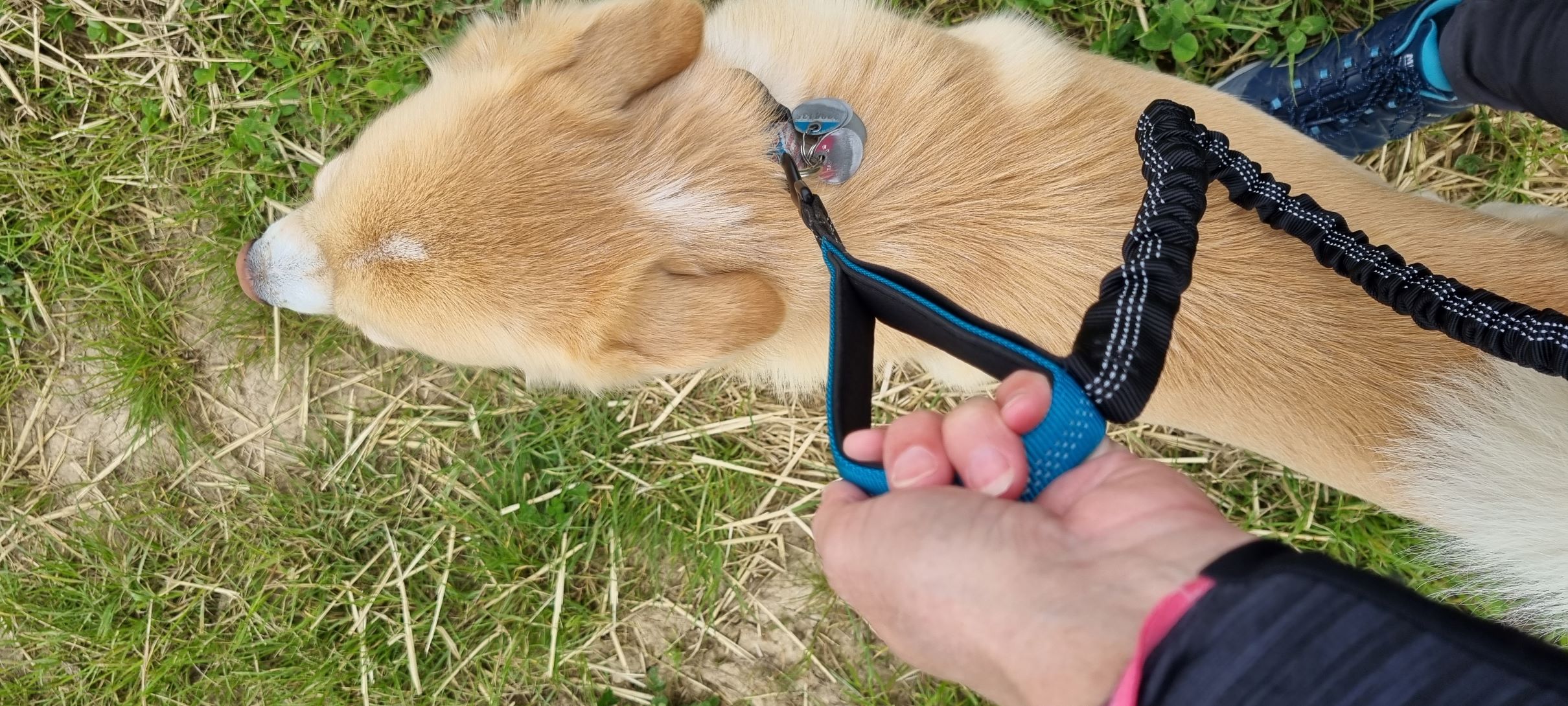Mit weichem Handgriff alles im Griff