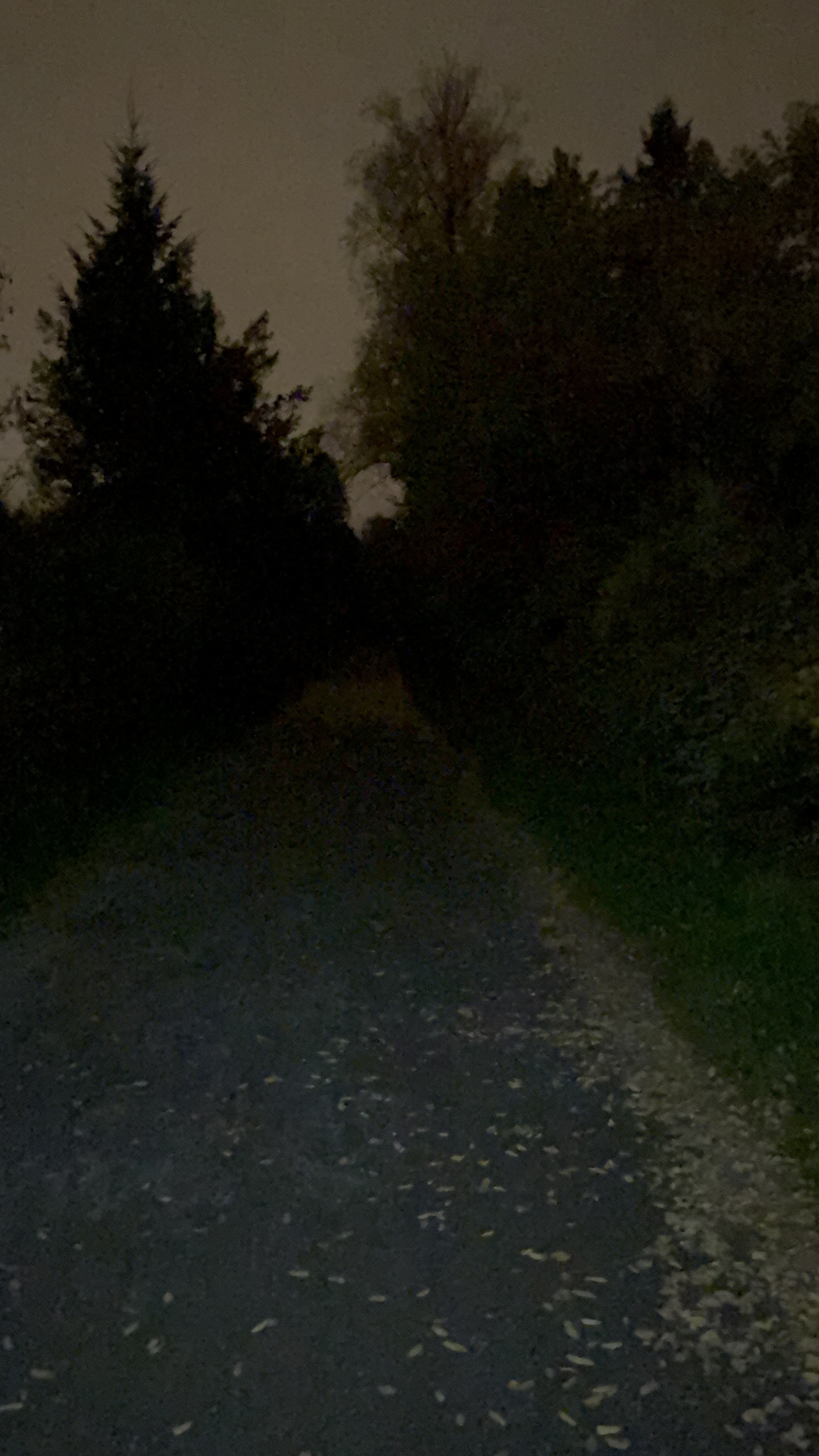 light level Diffuse 2