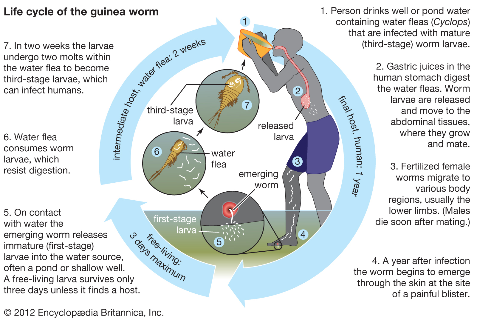 Lifestraw - Go 1-Liter
