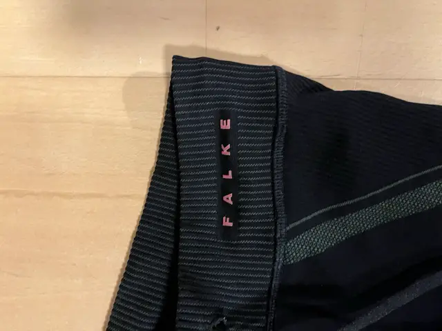 LogoFalke