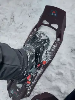Schneeschuh