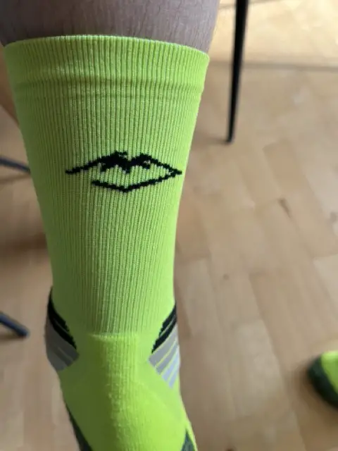 LogoHinten2