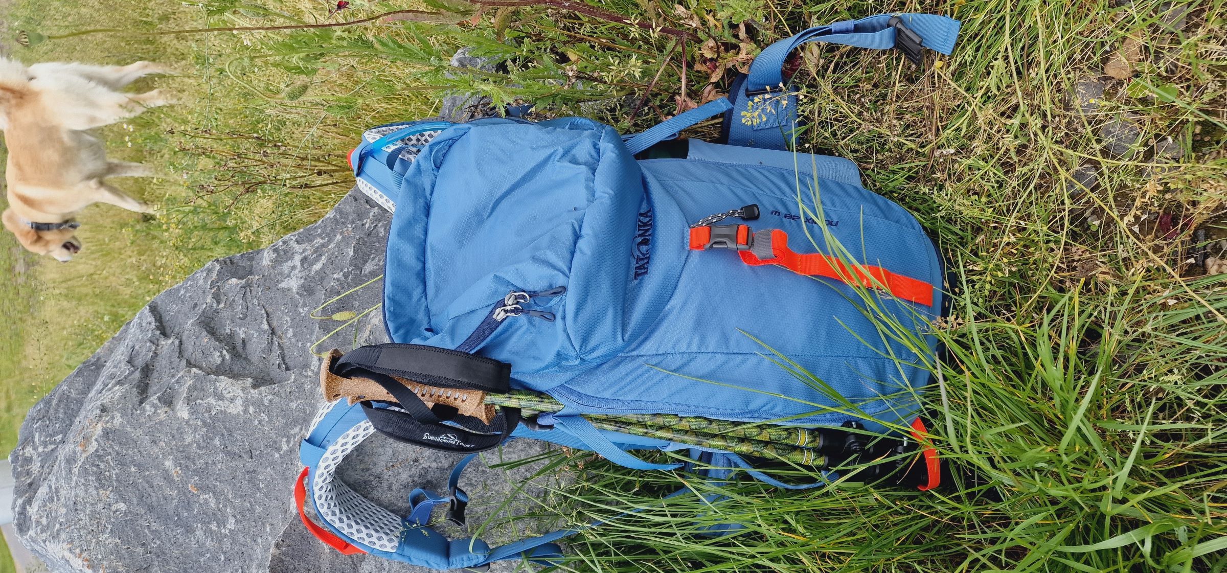 Ein treuer Begleiter auf all meinen Wanderungen