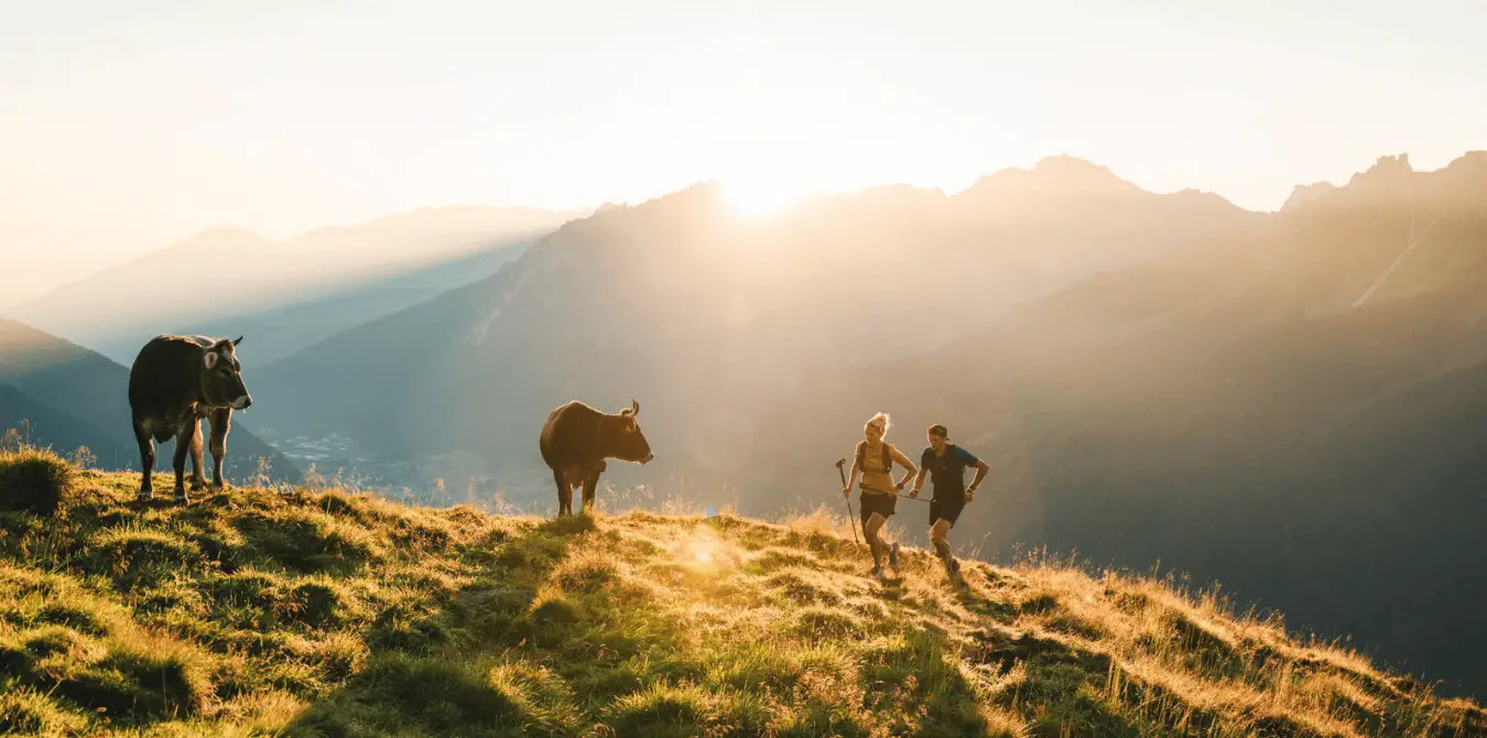 Stubai Ultra