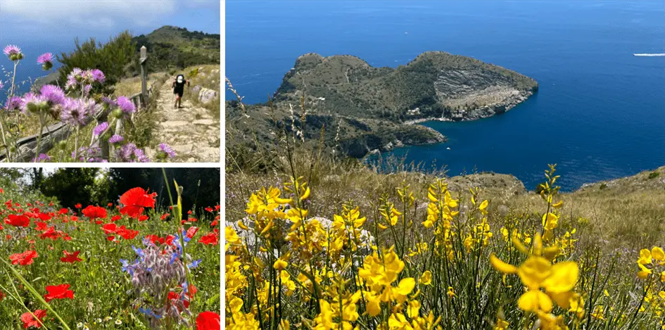 Amalfi-Küste Wandern