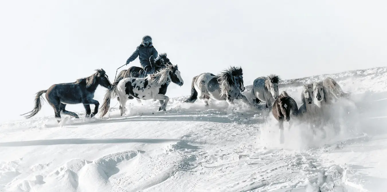 Mongolei im Winter