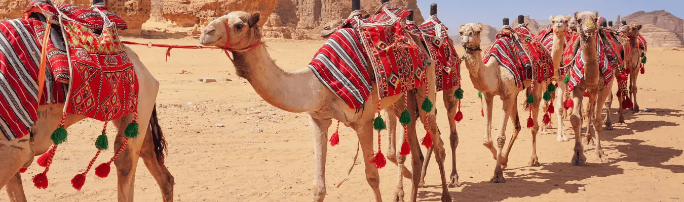 AlUla Hiking in Saudi-Arabien