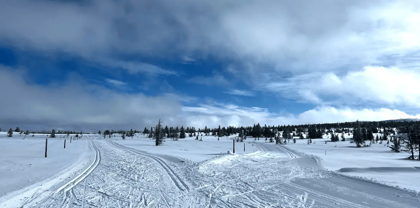 Sjusjøen Norwegen Langlauf