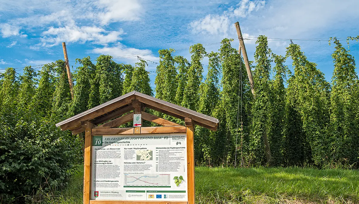 OUTSIDEstories Unterwegs Tipp Wandern Hallertau