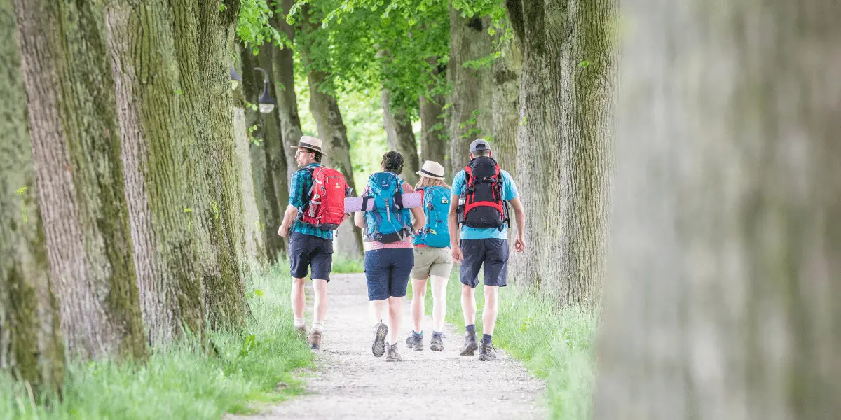 OUTSIDEstories Unterwegs-Tipp Altmühltal-Panoramaweg, Wandergruppe in einer Allee in Pappenheim