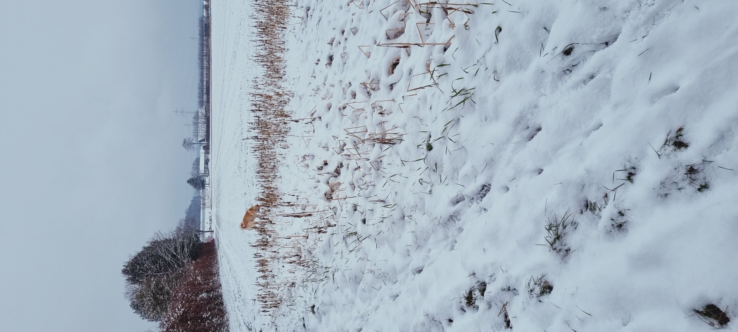 Auch bei Schnee und Eis im Einsatz