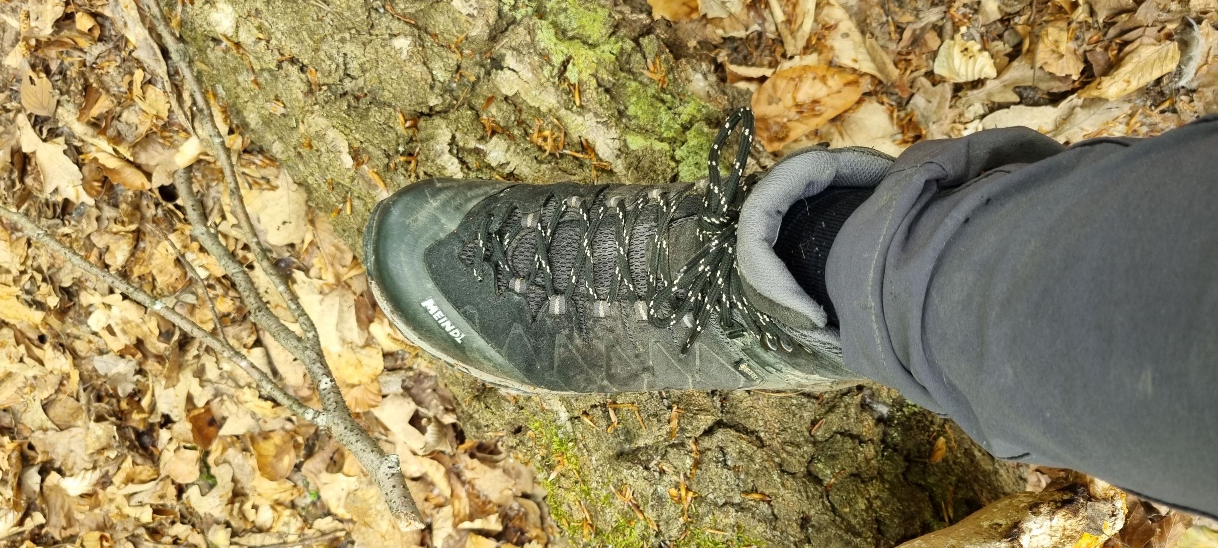 Ob Wald oder Felsen, immer sicher im Tritt