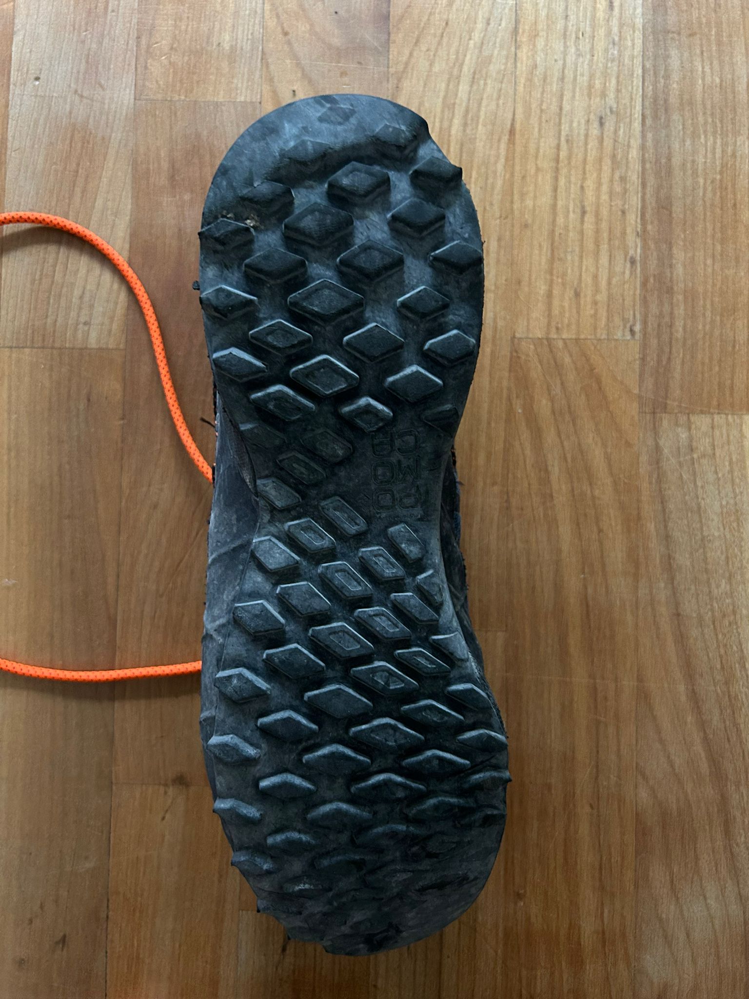 Sole