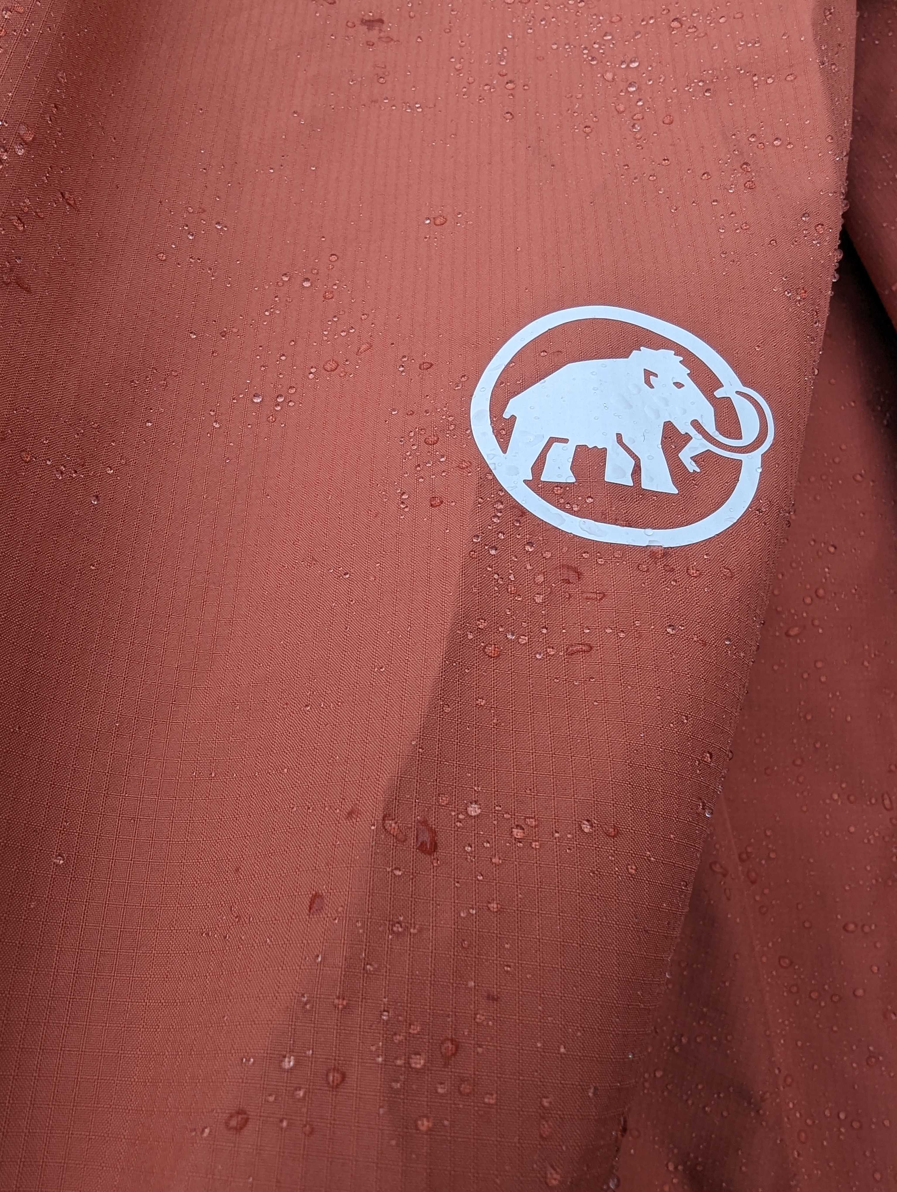 Logo (vorne)