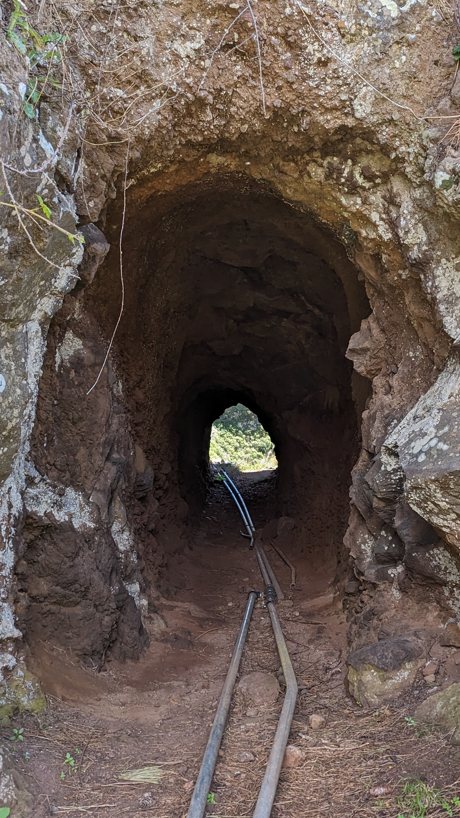 Tunnel