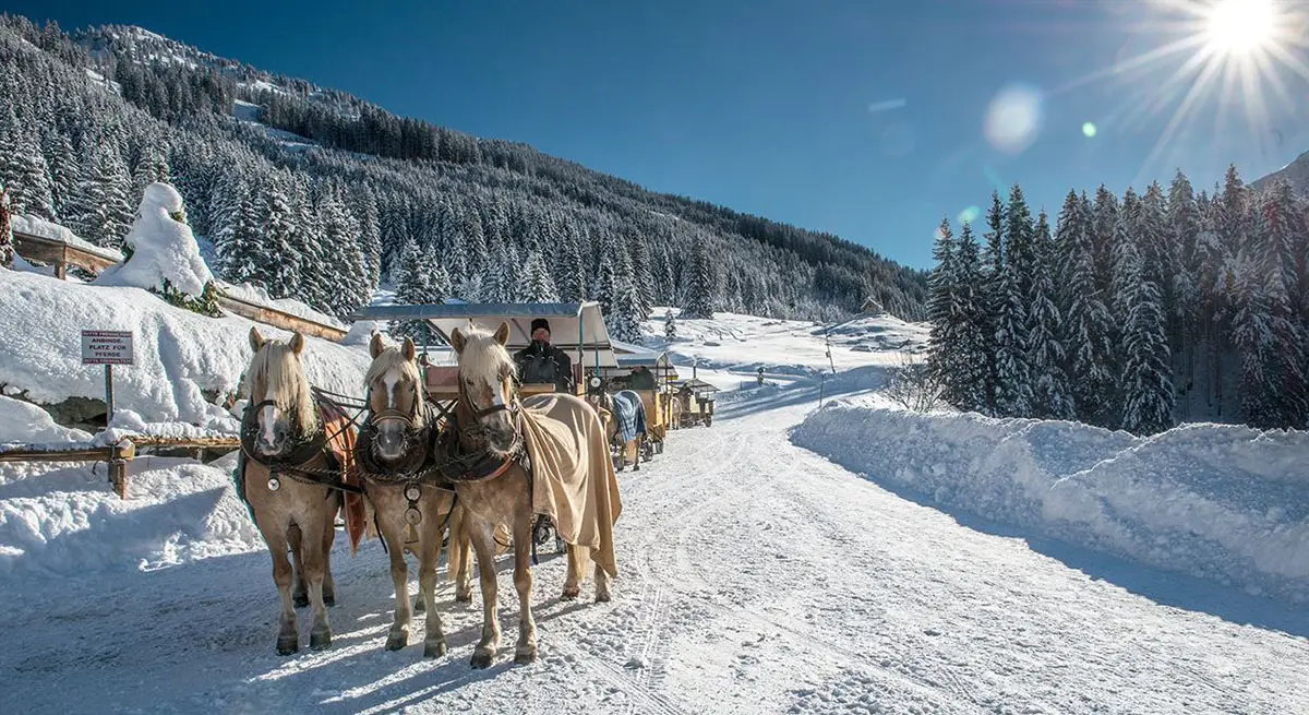 Pferdekutschen Wildschönau Wintertipps