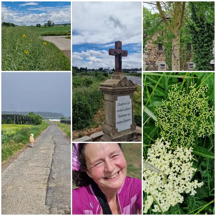 Bei Regen und Sonne im Wechsel, machen die knöchelhochen Coolmesh II in den Wanderstiefeln viel Spaß ud sorgen für ein angenehmes Wandern.