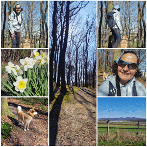 Unterwegs bei jedem Wetter, im Wald , übers Feld und auch mit dem Hund.