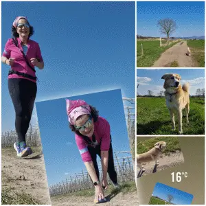 Sonnenschutz top