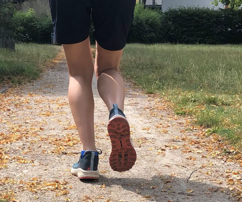 Profil auf trockenem Boden