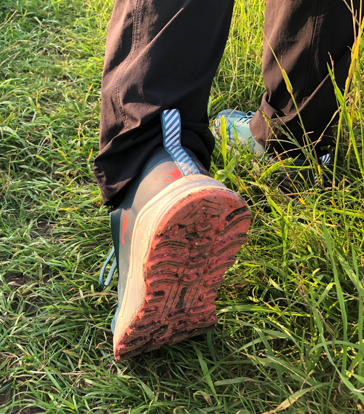 Profil auf feuchtem, teils matschigem Boden